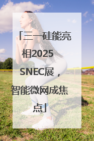 三一硅能亮相2025 SNEC展，智能微网成焦点