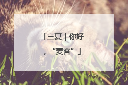 三夏｜你好，“麦客”