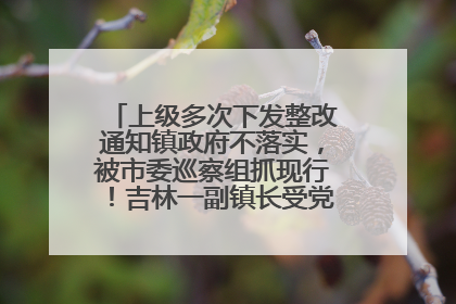上级多次下发整改通知镇政府不落实，被市委巡察组抓现行！吉林一副镇长受党内警告处分