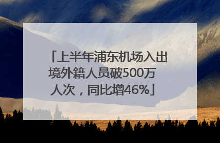 上半年浦东机场入出境外籍人员破500万人次，同比增46%