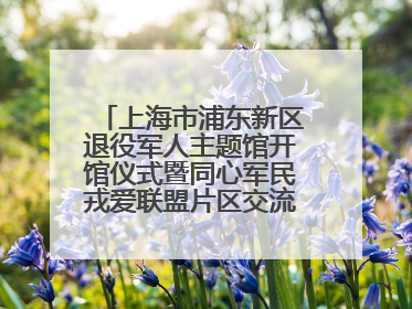上海市浦东新区退役军人主题馆开馆仪式暨同心军民戎爱联盟片区交流会举行