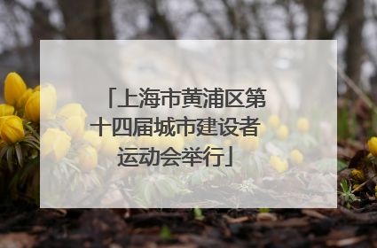 上海市黄浦区第十四届城市建设者运动会举行