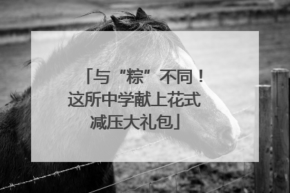 与“粽”不同！这所中学献上花式减压大礼包