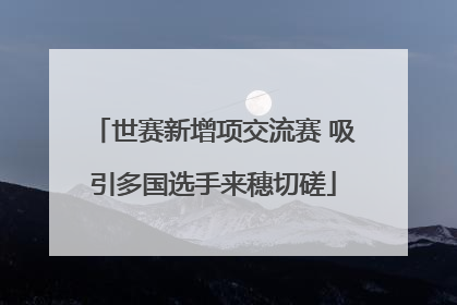世赛新增项交流赛 吸引多国选手来穗切磋