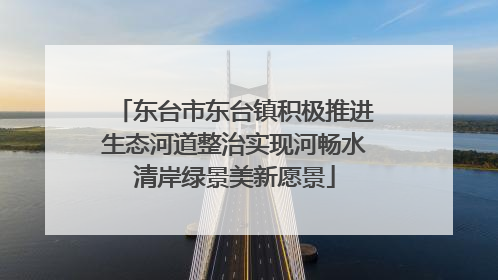 东台市东台镇积极推进生态河道整治实现河畅水清岸绿景美新愿景
