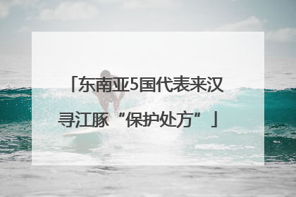 东南亚5国代表来汉寻江豚“保护处方”