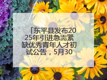 东平县发布2025年引进急需紧缺优秀青年人才初试公告，5月30日开展面谈