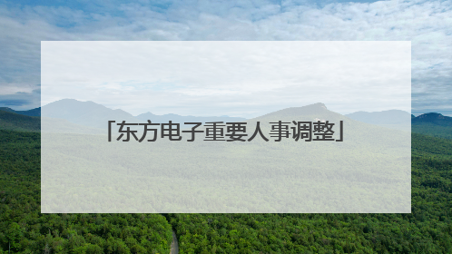 东方电子重要人事调整