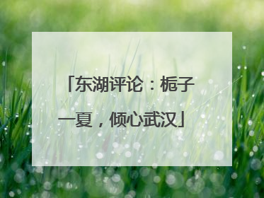 东湖评论：栀子一夏，倾心武汉
