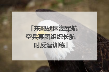 东部战区海军航空兵某团组织长航时反潜训练