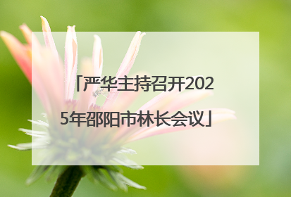 严华主持召开2025年邵阳市林长会议
