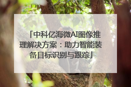 中科亿海微AI图像推理解决方案：助力智能装备目标识别与跟踪
