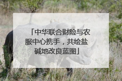 中华联合财险与农服中心携手，共绘盐碱地改良蓝图