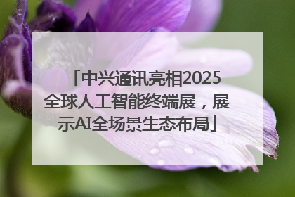 中兴通讯亮相2025全球人工智能终端展，展示AI全场景生态布局