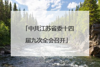 中共江苏省委十四届九次全会召开