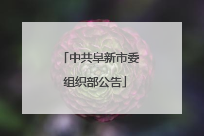 中共阜新市委组织部公告