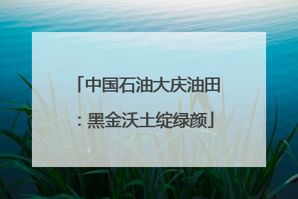 中国石油大庆油田：黑金沃土绽绿颜