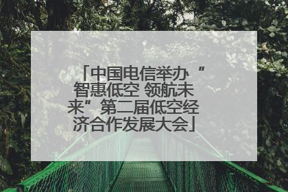 中国电信举办“智惠低空 领航未来”第二届低空经济合作发展大会