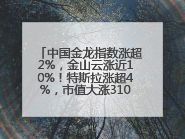 中国金龙指数涨超2%，金山云涨近10%！特斯拉涨超4%，市值大涨3100亿元！比特币涨回11万美元关口