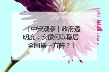 中安观察｜政府透明度，安徽何以稳居全国第一方阵？