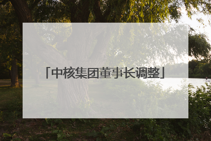 中核集团董事长调整