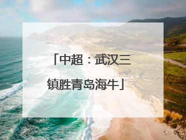 中超：武汉三镇胜青岛海牛