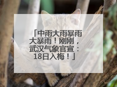 中雨大雨暴雨大暴雨！刚刚，武汉气象官宣：18日入梅！