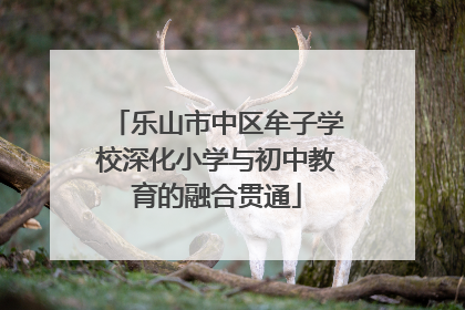乐山市中区牟子学校深化小学与初中教育的融合贯通