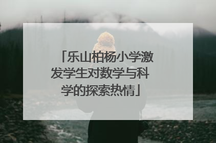 乐山柏杨小学激发学生对数学与科学的探索热情