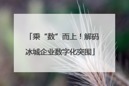 乘“数”而上！解码冰城企业数字化突围