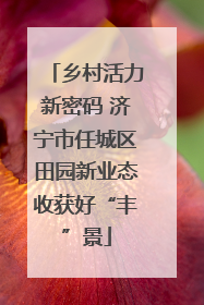 乡村活力新密码 济宁市任城区田园新业态收获好“丰”景