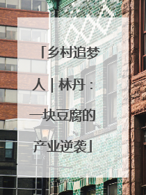 乡村追梦人｜林丹：一块豆腐的产业逆袭