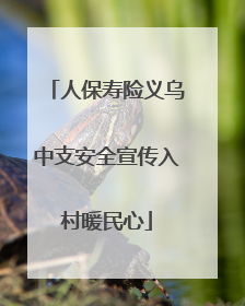人保寿险义乌中支安全宣传入村暖民心