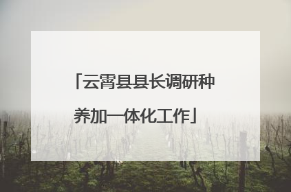 云霄县县长调研种养加一体化工作