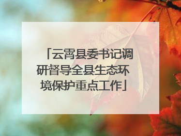 云霄县委书记调研督导全县生态环境保护重点工作