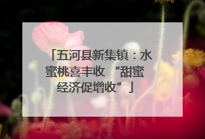 五河县新集镇：水蜜桃喜丰收 “甜蜜经济促增收”