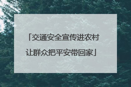 交通安全宣传进农村 让群众把平安带回家