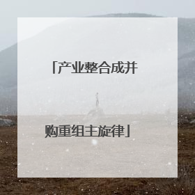 产业整合成并购重组主旋律