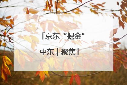 京东“掘金”中东｜聚焦