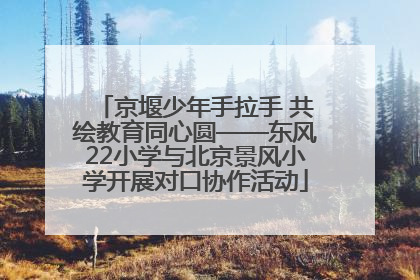 京堰少年手拉手 共绘教育同心圆——东风22小学与北京景风小学开展对口协作活动