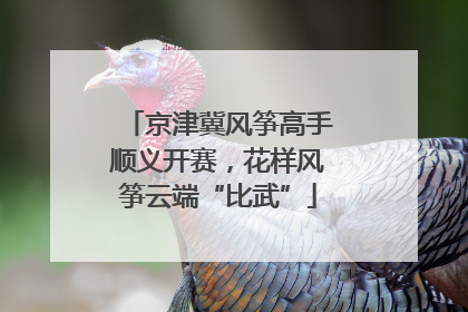 京津冀风筝高手顺义开赛，花样风筝云端“比武”