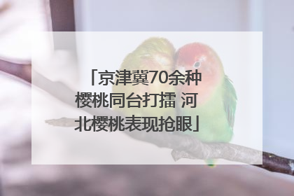 京津冀70余种樱桃同台打擂 河北樱桃表现抢眼