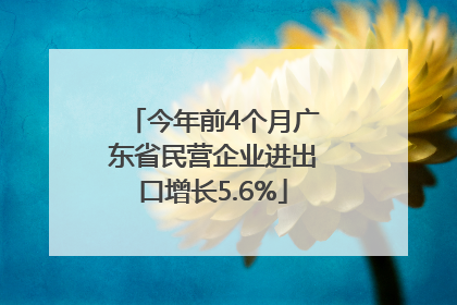今年前4个月广东省民营企业进出口增长5.6%