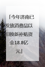 今年济南已发放消费品以旧换新补贴资金18.8亿元