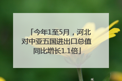 今年1至5月，河北对中亚五国进出口总值同比增长1.1倍