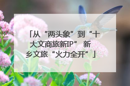 从“两头象”到“十大文商旅新IP” 新乡文旅“火力全开”