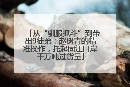 从“驯服抓斗”到带出9徒弟：赵树青的精准操作，托起同江口岸千万吨过货量