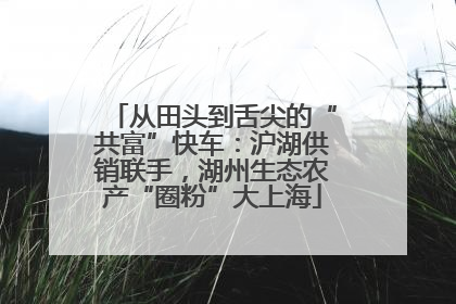 从田头到舌尖的“共富”快车：沪湖供销联手，湖州生态农产“圈粉”大上海