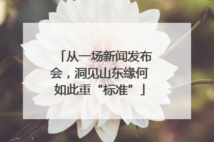 从一场新闻发布会，洞见山东缘何如此重“标准”