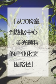从实验室到数据中心：美光颗粒的产业化突围路径